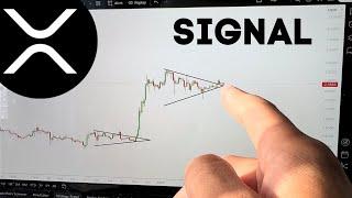 XRP WILL MAKE YOU F**NG RICH!!!!!!!!!! (not clickbait)