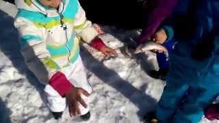 Kids killing it Ice fishing near Breckenridge!