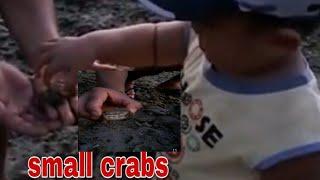 SMALL CRABS + BEAUTIFUL ROCK FORMATION by TEAM BRIANA