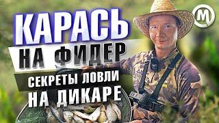 Карась на фидер! Секреты ловли на дикаре