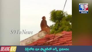 కోతికి చుక్కలు చూపించిన గోరింకలు | Latest Funny Monkey Videos#S9TvNews