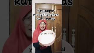 tips menghilangkan kutu beras #tipsalayusitie #tipspraktis #kutuberas #menghilangkankutuberas