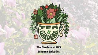 Tea & Gardens S1 EP 3