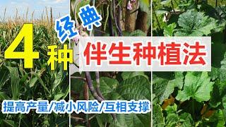 这些菜种一起更好, 合理安排菜园, 4种经典伴生/共生种植方法  Four companion planting methods