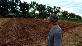 PAG PREPARE SA TATAMNAN NG SILI