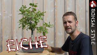 Meine Eiche von Josef Bruns | #096 Bonsai Style