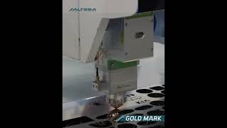 Станок для резки листа GOLD MARK GM1530FA 3000W