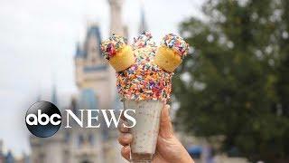 It's a sweet, sweet September at Disney World with these new treats