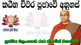 කඨින චීවර පූජාවේ අනුහස් / පූජනීය බලංගොඩ රාධ ස්වාමීන් වහන්සේ