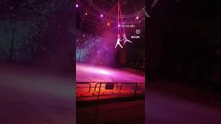 #제주아트서커스 #제주아이랑가볼만한곳 #쭈니최애