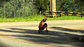 FERNANDO YUPPIE DOWNHILL SLIDE FLORIPA BY GARDEN GROOVE FILMES