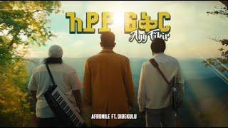 AfroNile - Ayy Fikir (ft. Dibekulu) (Official Music Video) /  አፍሮ ናይል - አይይይ ፍቅር