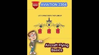 How do planes fly? Aviation 2304 #theoryofflight