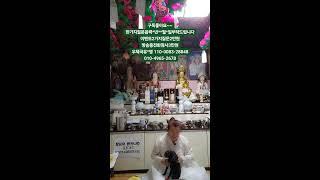산신무당천상화 라이브 방송#신점 #사업운 #사주 #운세 #실시간 #점사 #실시간점사 #유명한점집 #용한점집 #서울점집 #궁합 #애정운 #띠별운세 #2025