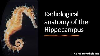 Unforgettable: Radiological Anatomy of the Hippocampus