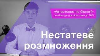 Нестатеве розмноження – Підготовка до ЗНО – Біологія