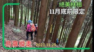 五峰鳥嘴山-大窩山(鳥窩縱走)2023.11.25