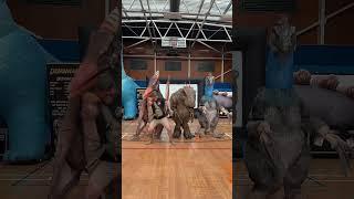 Prehistoric Cha Cha slide #dinomania