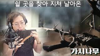 가시나무(시인과 촌장)-Panflute연주 조은혜