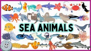 40 Sea Animals Name for Kids - Learn Ocean Marine Animal Names