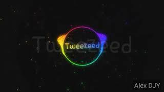 Tweezeed - Alan Walker (video - Alex DJY)