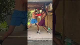 Sparring in Auckland ️