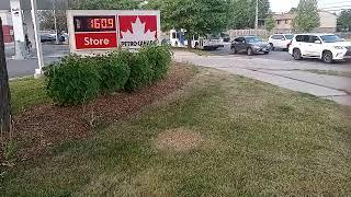 BUS MEET! Oakville Transit New Flyer D40LFR 2008 (8105) Nova Bus LFS 2019 (1904) Filmed June 7th