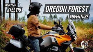 Oregon Forest | Moto Guzzi Stelvio | Motorcycle Adventure | MotoGeo