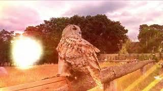 07.20 Ausflug in den Wildpark Johannismühle