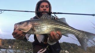 Fall Run SURF FISHING in Mid-October: Long Island