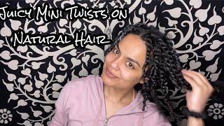 Protective Style | Mini Twists on Natural Hair | Naturally Sage