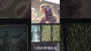 【Pick a card】瑠璃給你12月的愛情訊息️ #瑠璃塔羅 #ruritarot#塔羅#運12月愛情 #感情