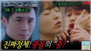《이충구의 진짜 정체!》충돌의 충? 호수 미지를 눈치 챈 순간은EP.5 #미지의서울 #박보영 #박진영 #류경수