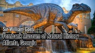 Sir William Goes to Fernbank Museum of Natural History | Atlanta, Georgia