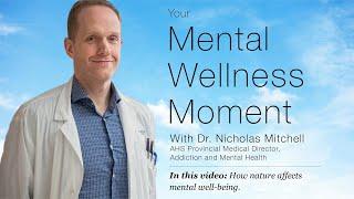 Mental Wellness Moment — How nature can affect your mental well-being