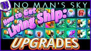 NO MAN'S SKY How to Get Living Ship UPGRADES Easy 2025 BEGINNER GUIDE GAMEPLAY
