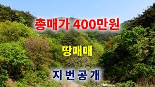 [1249] 4필지 몽땅 400만원입니다. 지번 공개가 되어 있으니 끝까지 보시길 바랍니다