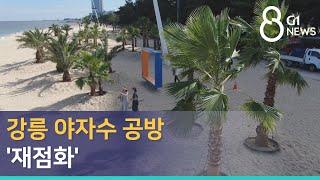 [G1뉴스] 강릉 야자수 공방 '재점화'