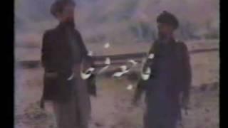 Afghanistan and the Politicians17