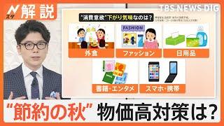 節約のプロに聞く！秋服は“流行追わない” 忙しい年末までにサブスク、料金プランなど“固定費見直し”を【Nスタ解説】｜TBS NEWS DIG