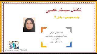 آموزش جامع نوروآناتومی | جلسه هجدهم (4) : تکامل سیستم عصبی | پروفسور طلایی