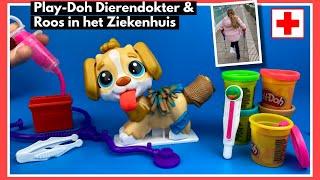 Play Doh Dierendokter en Roos in Ziekenhuis | Family Toys Collector