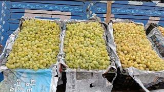 Super quality Sundar khani grapes || Afghanistan grapes auction || angoor ke boli || grapes market |