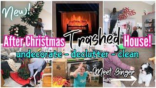 OUR HOUSE IS TRASHED! TAKING DOWN ALL OF OUR CHRISTMAS TREES AND DECOR.