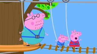 Peppa's Adventure at Monkey Trees  | Peppa Pig Full Episodes