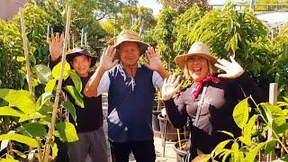 Revisiting Melbourne's Best Tropical Fruit Tree Nursery