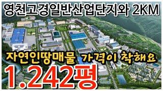 이 근처 이 가격 절대없습니다. 영천부동산? 주인분 급매매 요망