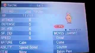 Pokemon Torchic Hidden Ability Speed Boost giveaway