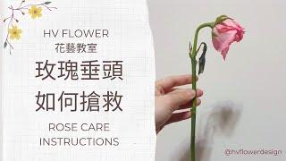 花藝初學者必學│兩招教你搶救垂頭玫瑰│花材養護│HV FLOWER花藝教室ep8