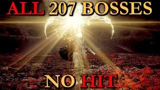 ALL 207 BOSSES NO HIT BASELINE RUN